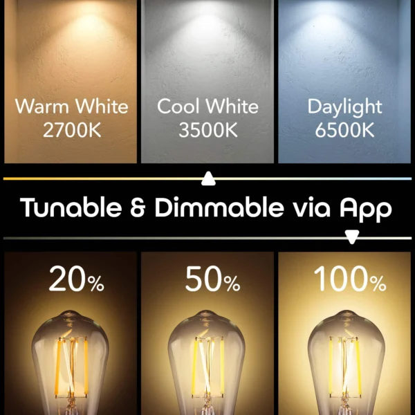 e2d24b7a-0cf5-4644-b90e-d70afe05e5aa.3c9c2344e914529de8b87638e72d515f Geeni Bombillas LED inteligente Lux Edison WiFi ST21, equivalente a 60 vatios, 2700 K a 6500 K, sin concentrador (paquete de 4)
